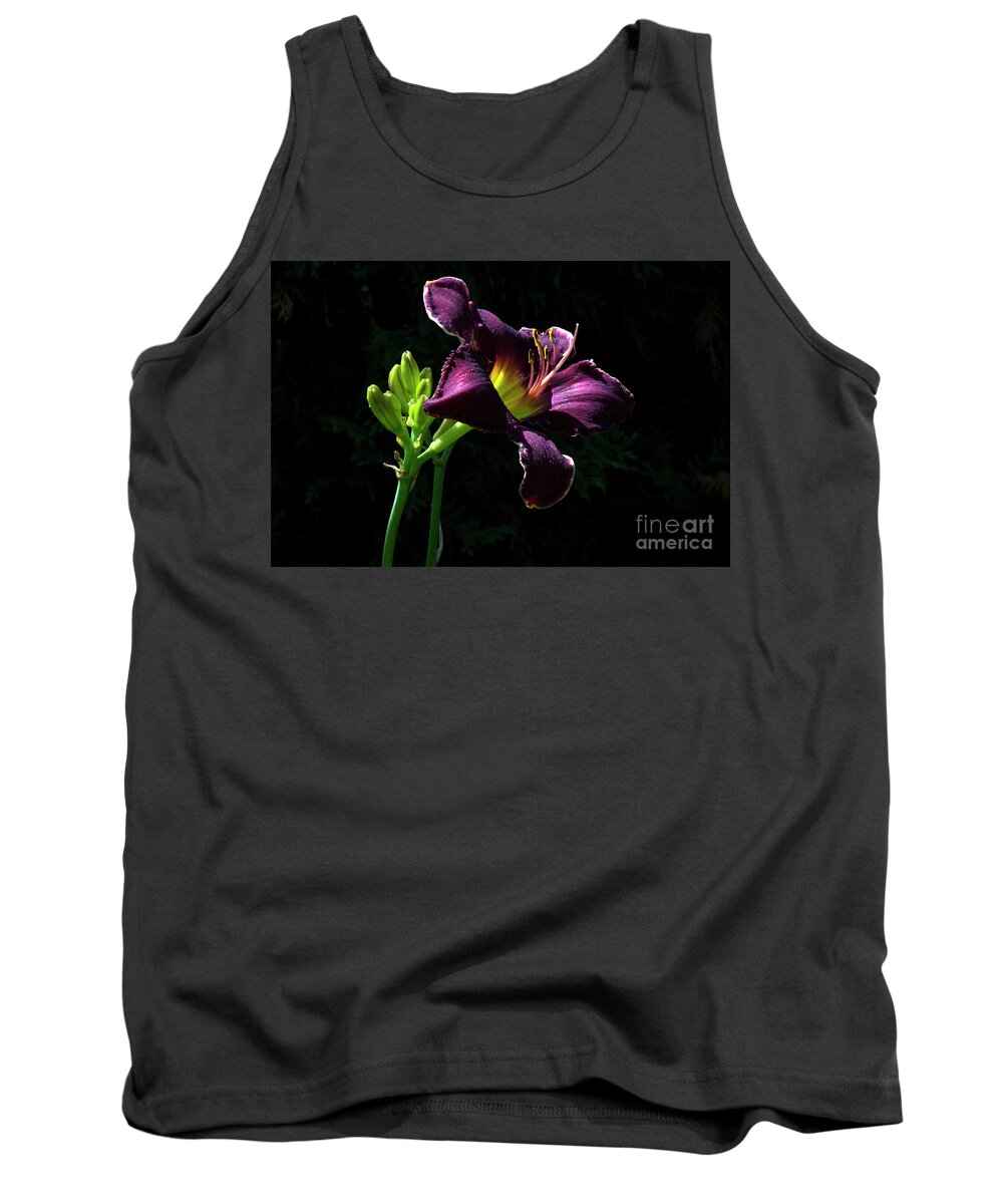 Lily Tank Top featuring the photograph Nobility #2 by Doug Norkum