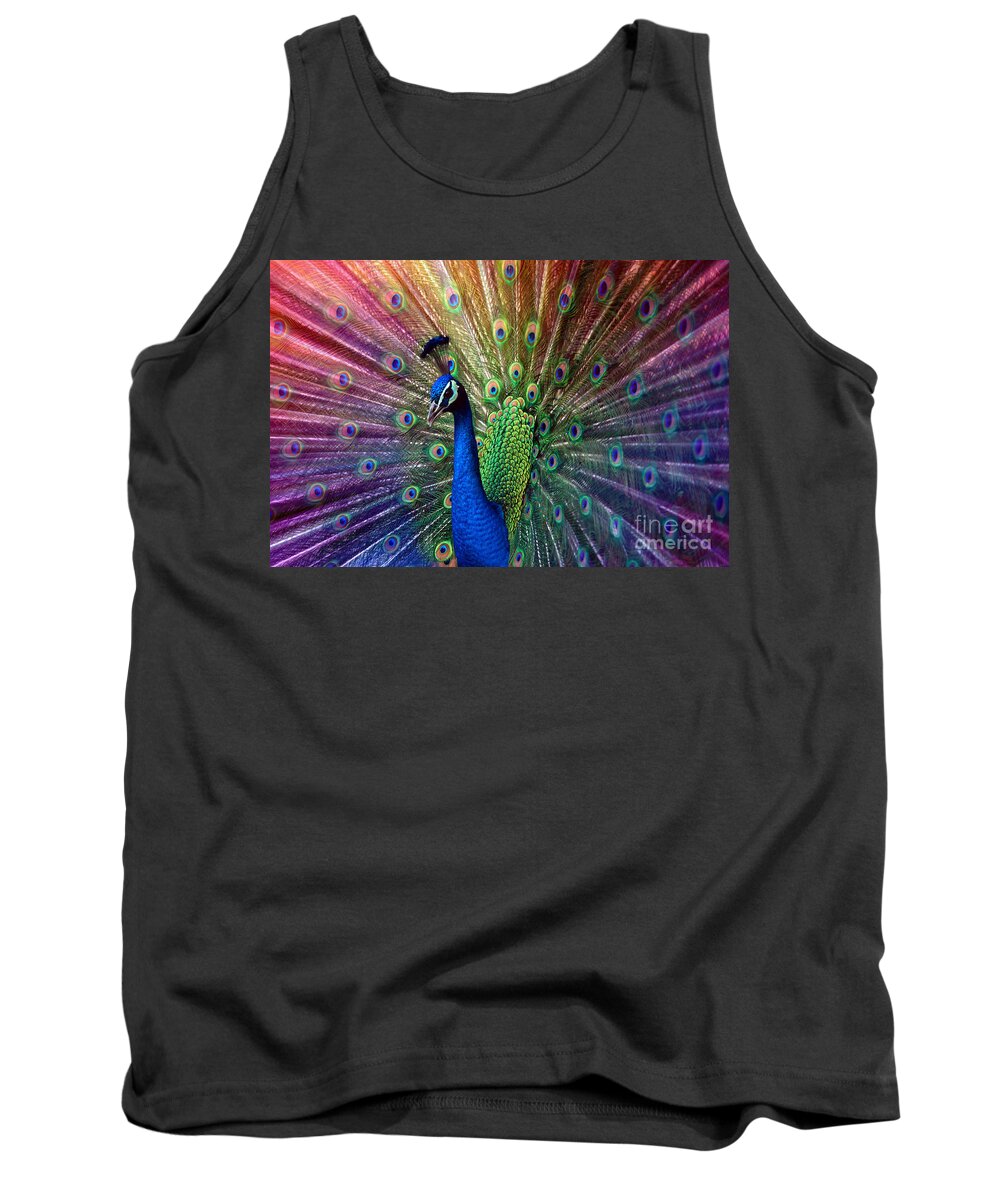 Beauty Tank Top featuring the photograph Peacock by Hannes Cmarits