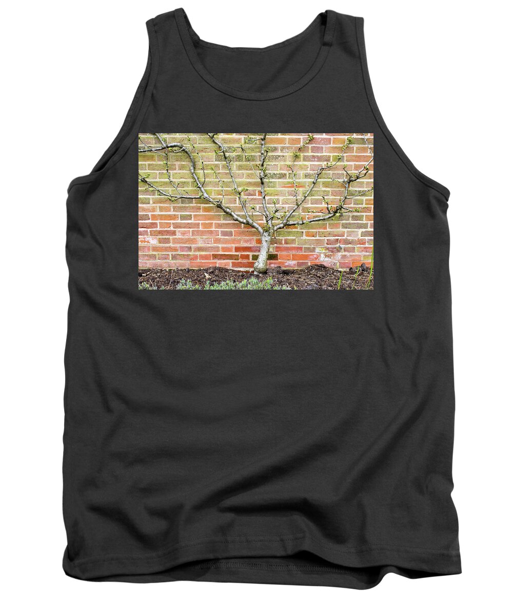 Agriculture Tank Top featuring the photograph Pier railings #1 by Tom Gowanlock