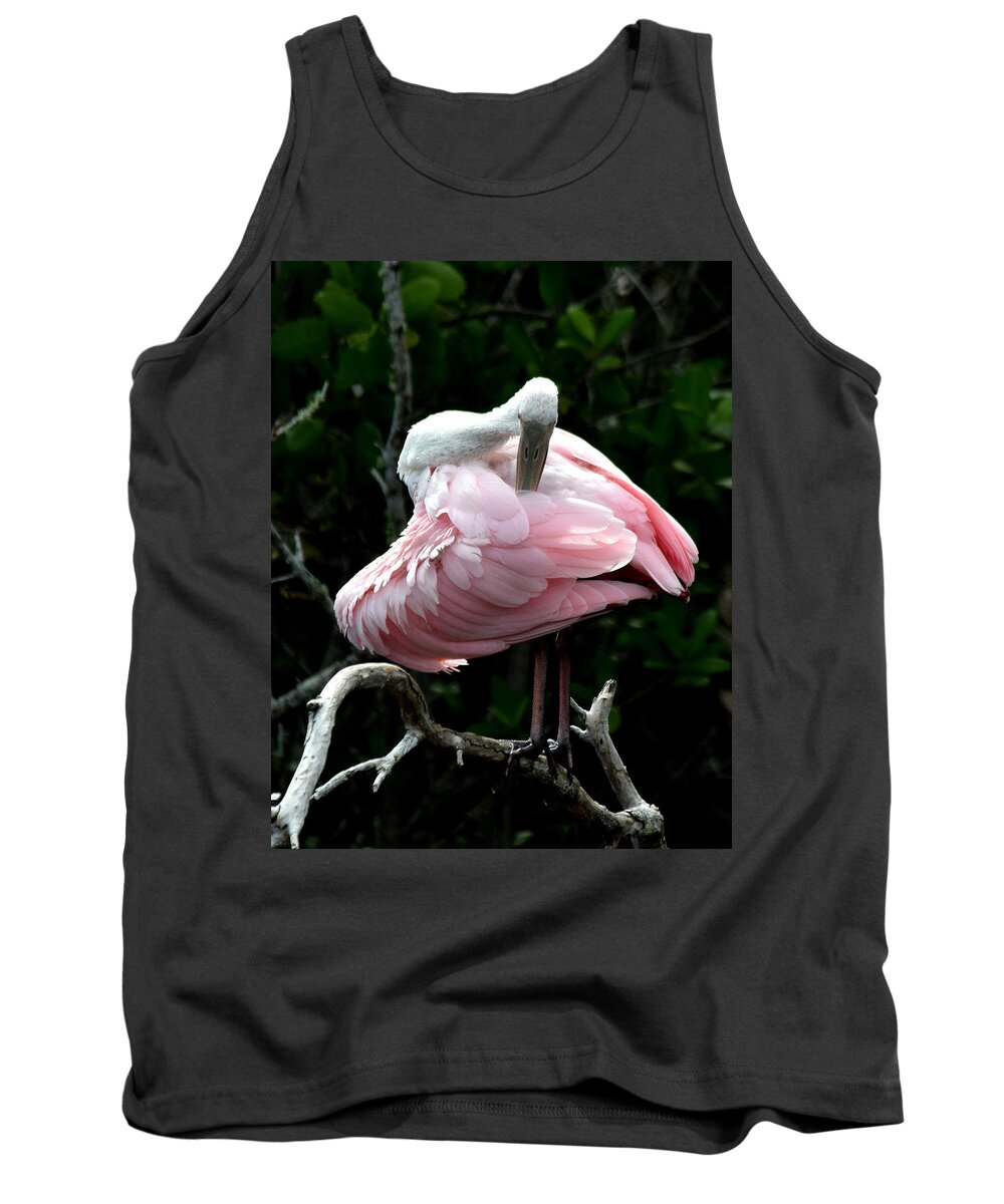 Roseate Spoonbill Tank Top featuring the photograph Pretty in Pink #1 by Jim Bennight