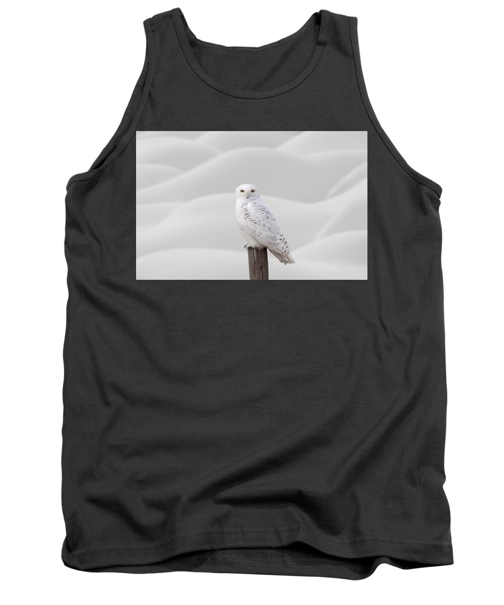 Snowy Owl Tank Top featuring the photograph Snowy Owl #1 by Mark Duffy