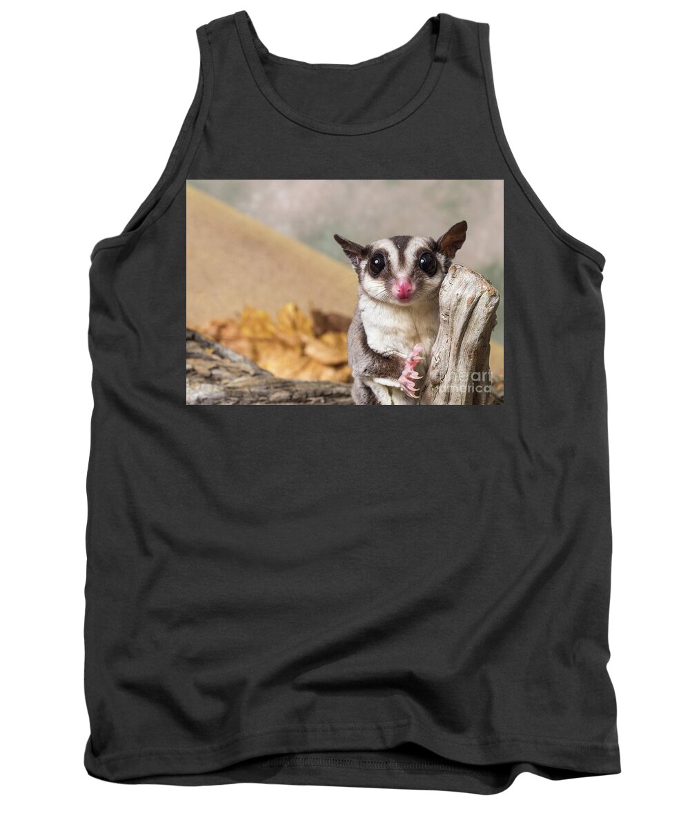 Animal Tank Top featuring the photograph Sugar glider #1 by Les Palenik