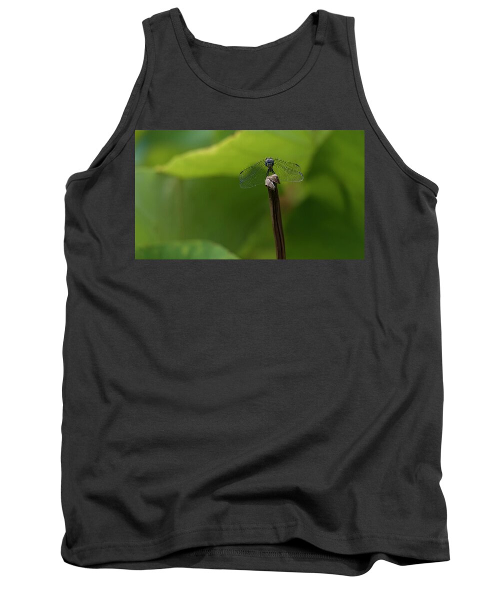 Dragonfly Tank Top featuring the photograph Vigilance #2 by Holly Ross
