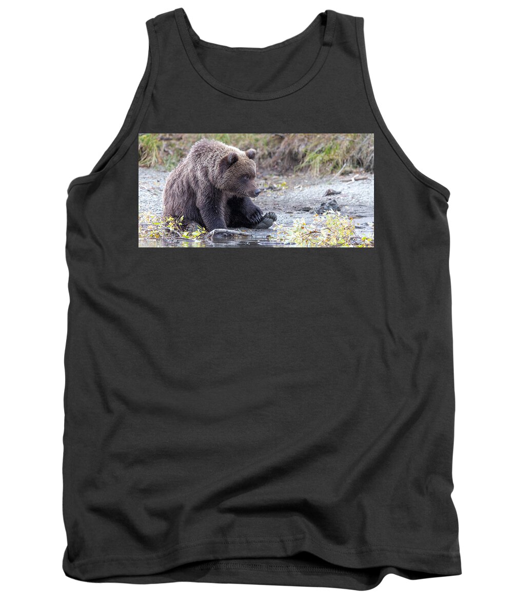 2015 Tank Top featuring the photograph Waiting #1 by Kevin Dietrich