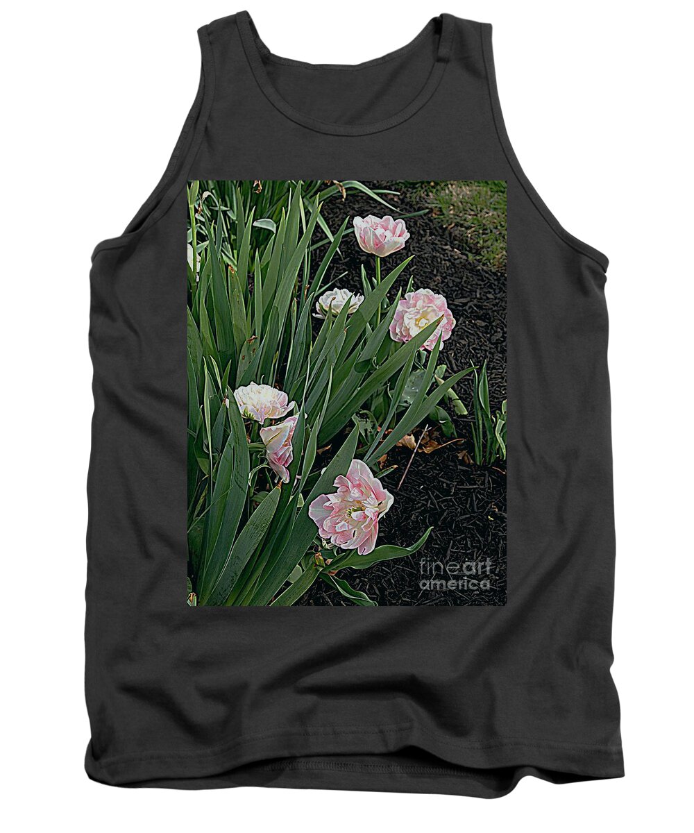 Photography Tank Top featuring the photograph We're over Here #1 by Nancy Kane Chapman