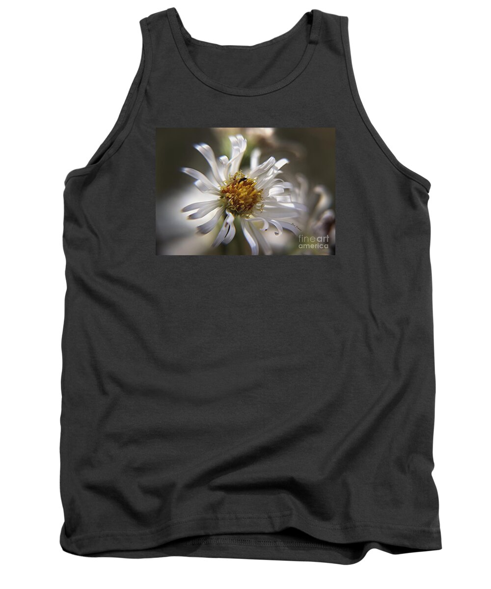 Flowers Tank Top featuring the photograph Wild Aster #1 by Yumi Johnson