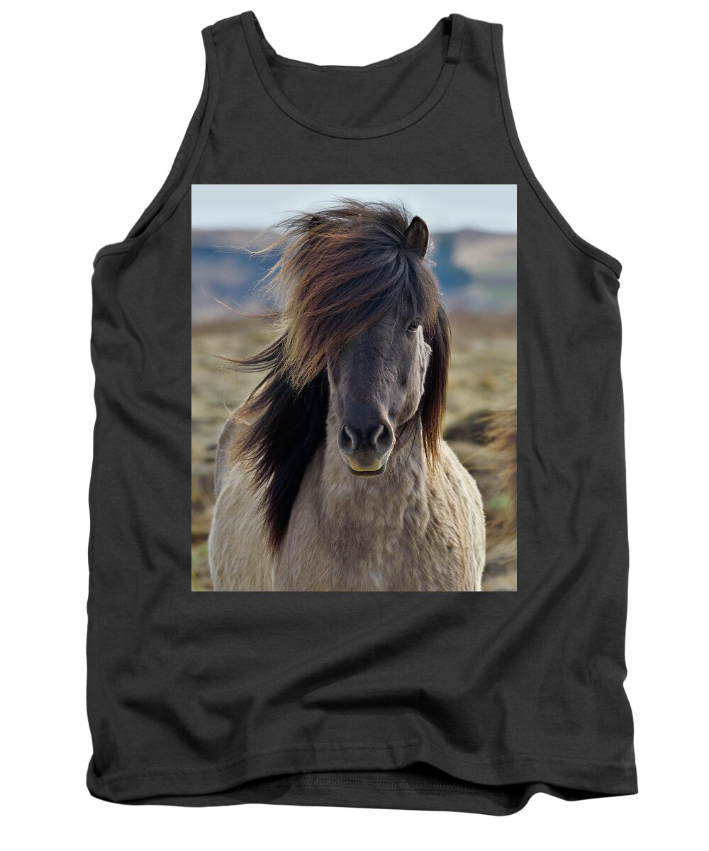 Icelandic Horse Tank Top featuring the photograph Wind Blown #2 by Tony Beck