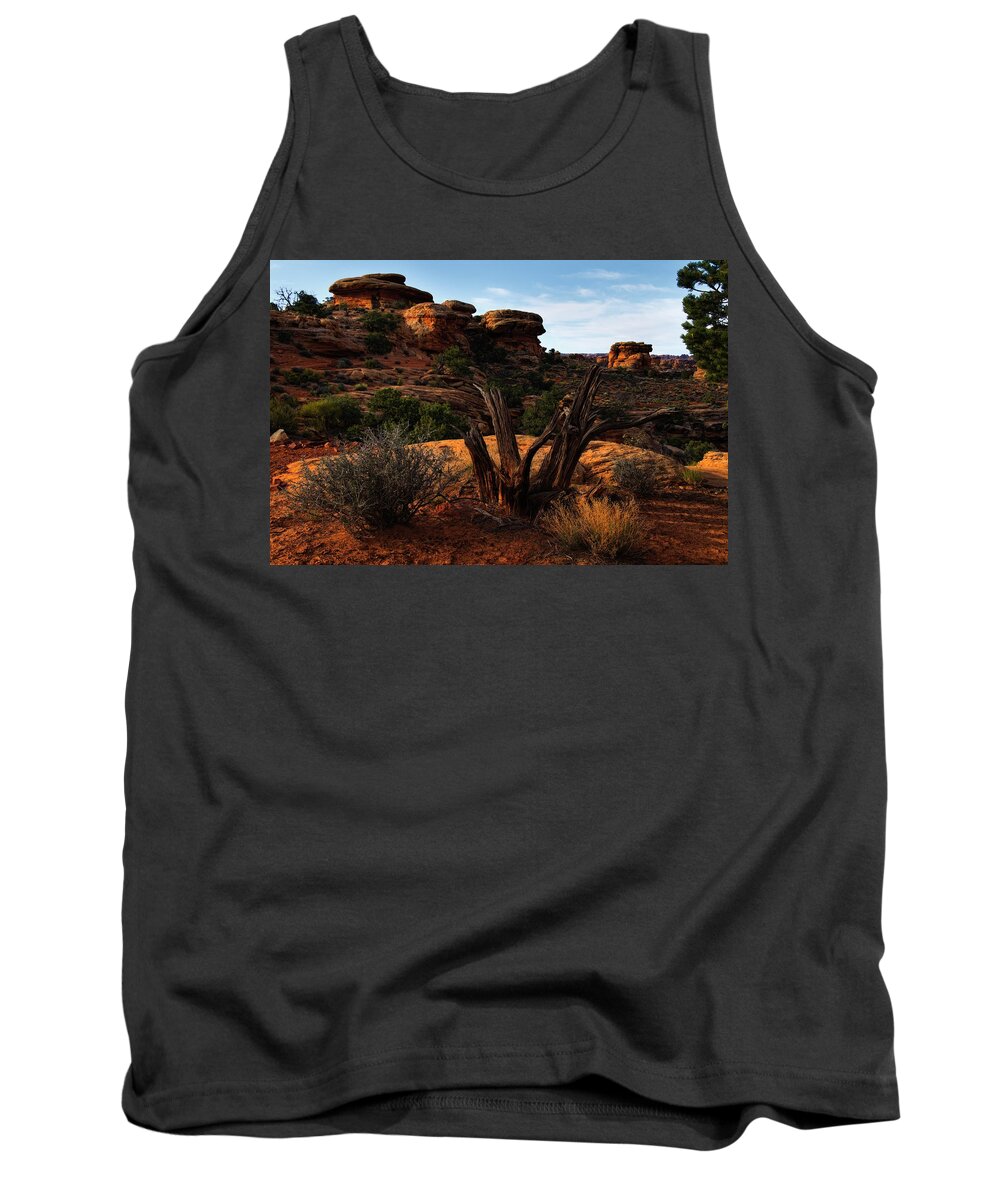 Canyonlands National Park Tank Top featuring the photograph Canyonlands National Park Utah #11 by Douglas Pulsipher