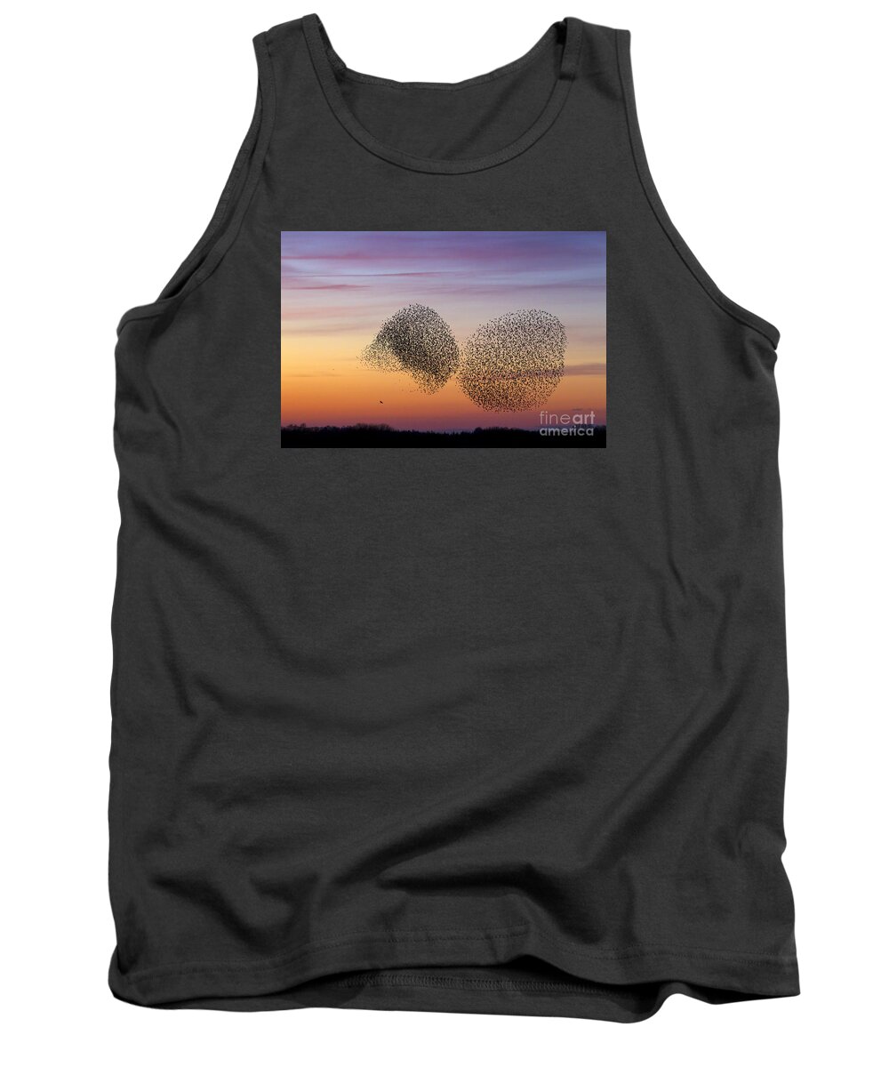 Common Starling Tank Top featuring the photograph 150501p254 by Arterra Picture Library