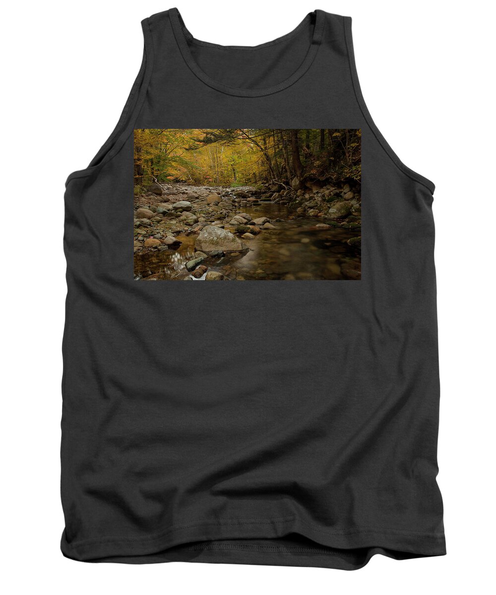 Fall Tank Top featuring the photograph Fall on the Gale River #2 by Benjamin Dahl