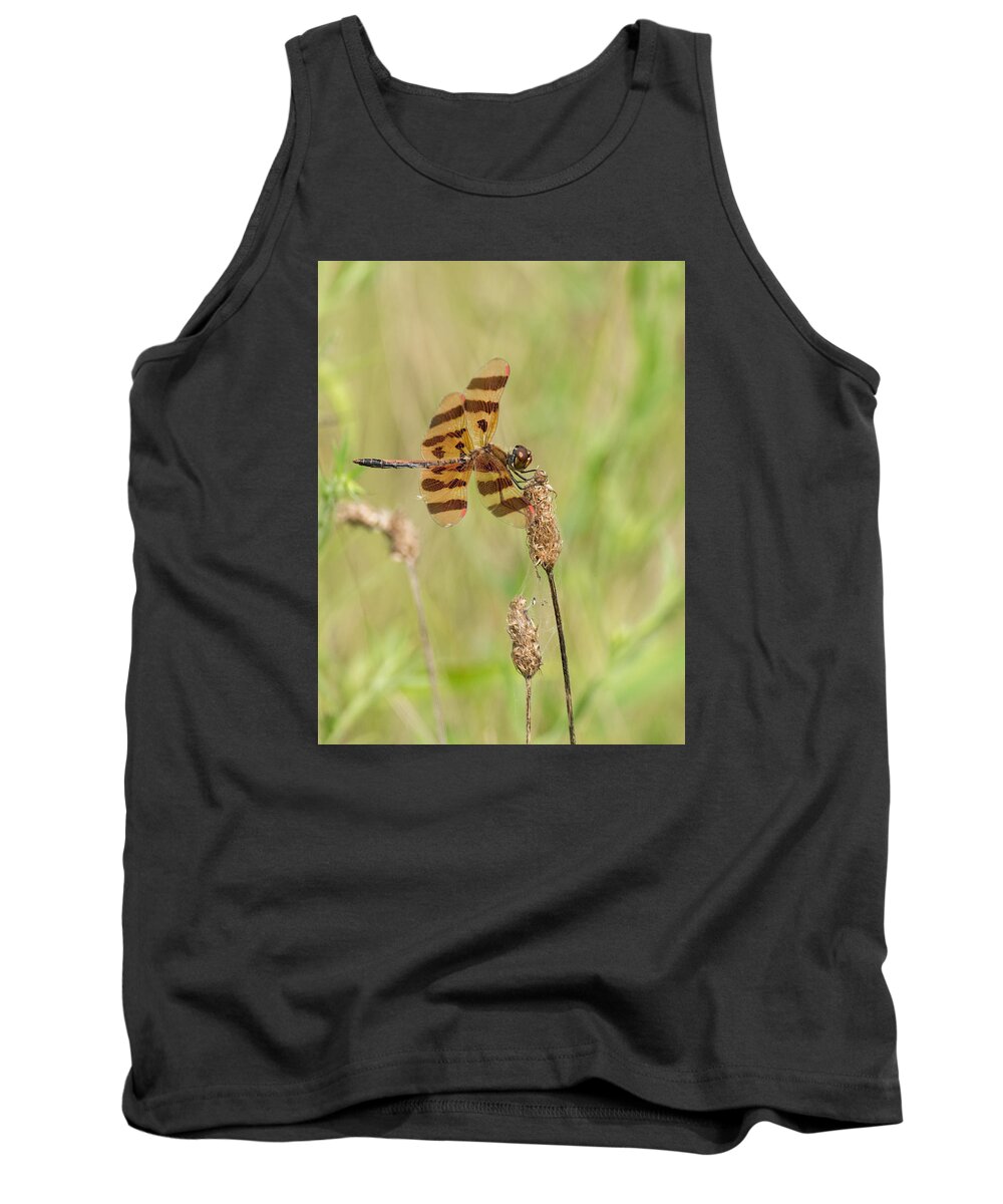 Dragonfly Tank Top featuring the photograph Halloween Pennant #2 by Jim Zablotny