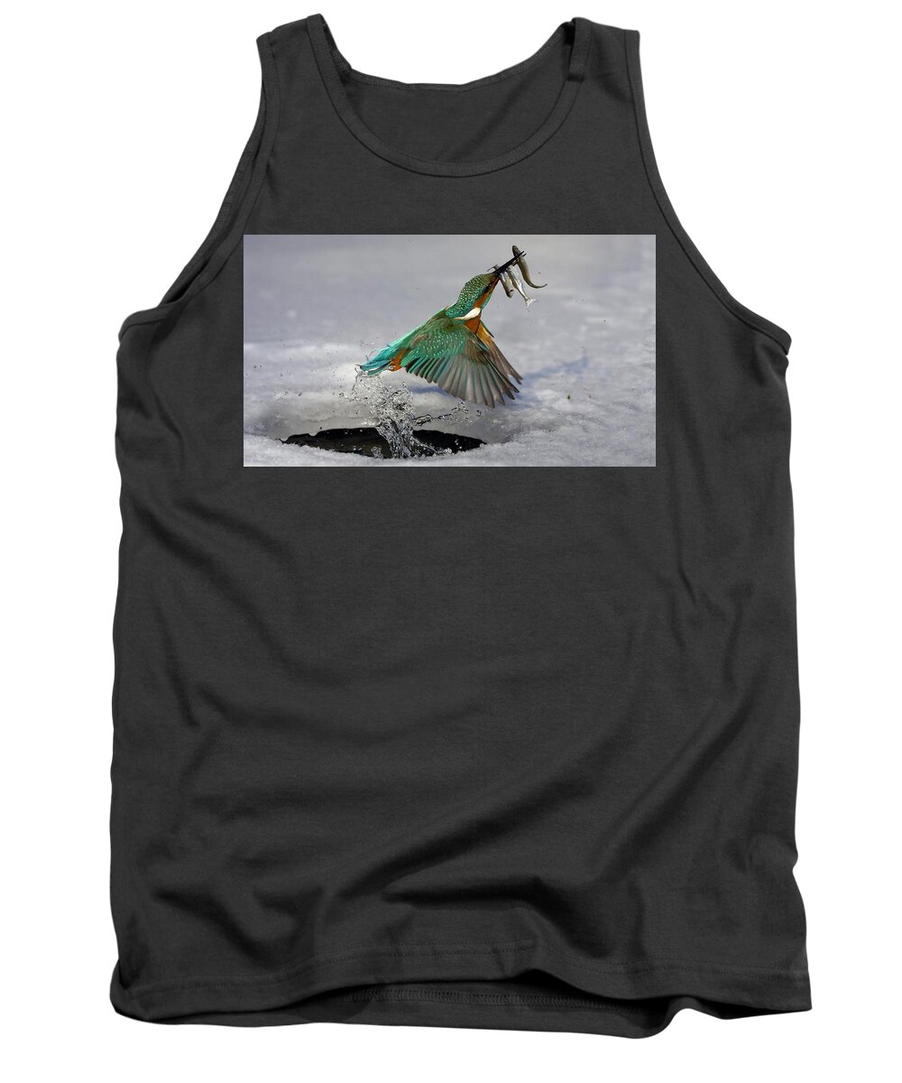 Kingfisher Tank Top featuring the photograph Kingfisher #2 by Jackie Russo