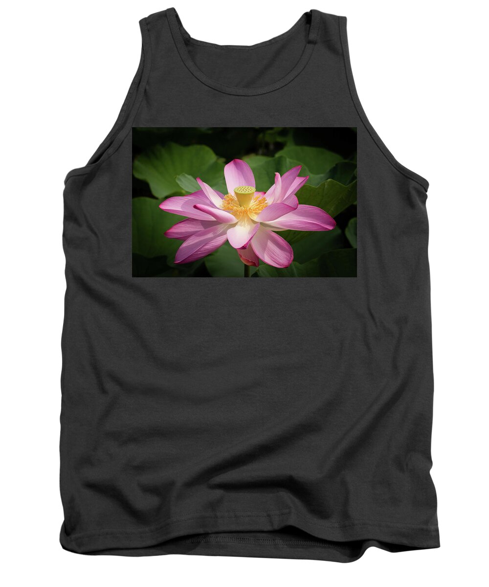 Flower Tank Top featuring the photograph Lotus #2 by Richard Macquade