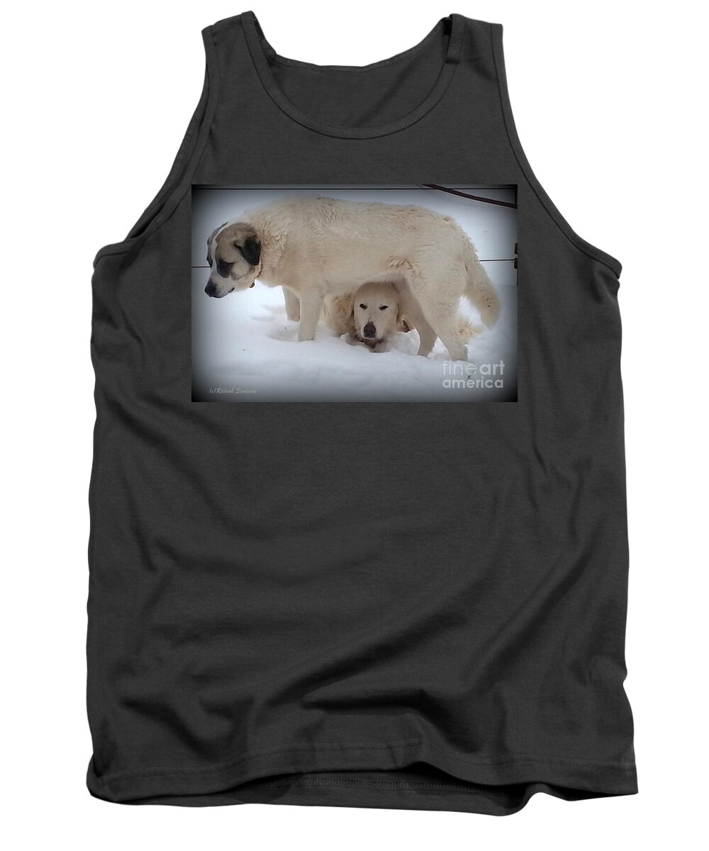 Canine Tank Top featuring the photograph Peek a Boo #2 by Rabiah Seminole