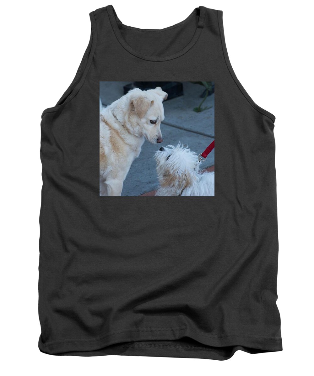 Arizona Tank Top featuring the photograph 2 White Dogs First Meeting by Michael Moriarty