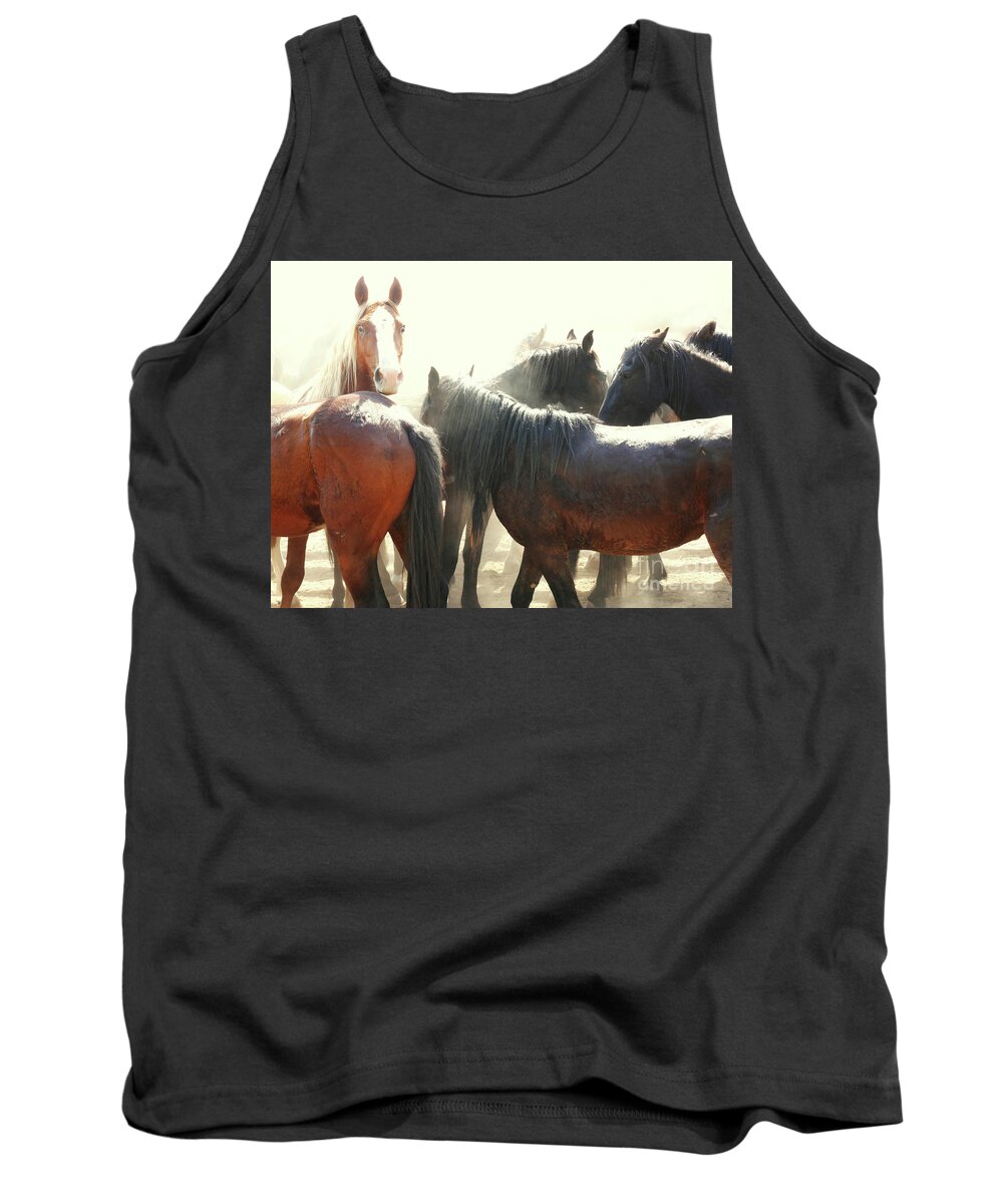 Man Fron Snowy River Tank Top featuring the photograph Wild Horses - Australian Brumbies 3 #1 by Lexa Harpell