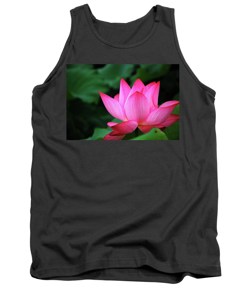 Lotus Tank Top featuring the photograph Blossoming lotus flower closeup #28 by Carl Ning
