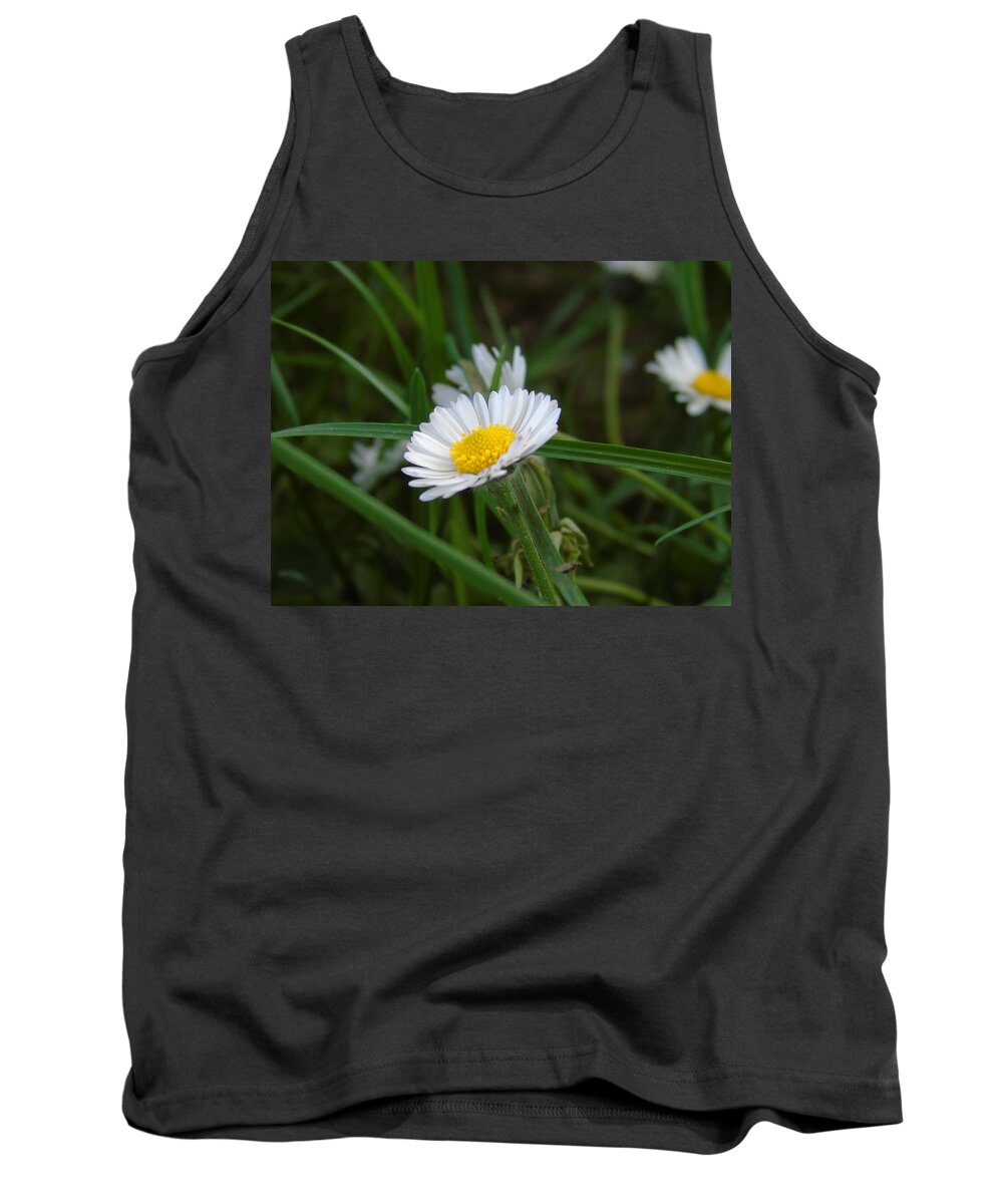 Spring Tank Top featuring the photograph Beauty in Nature #3 by Yohana Negusse