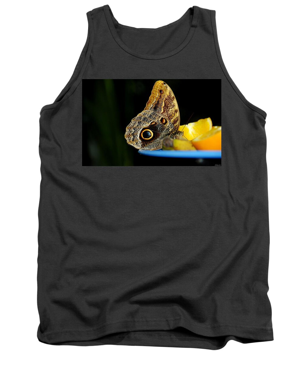 Butterfly Tank Top featuring the photograph Butterfly #3 by Mariel Mcmeeking