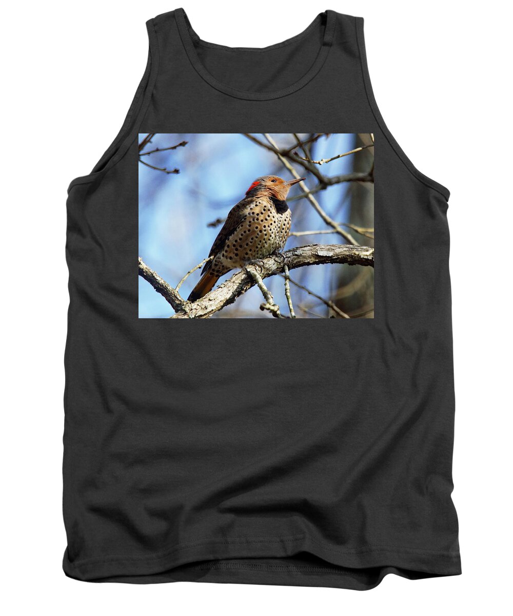 Northern Tank Top featuring the photograph Northern Flicker Woodpecker #3 by Robert L Jackson