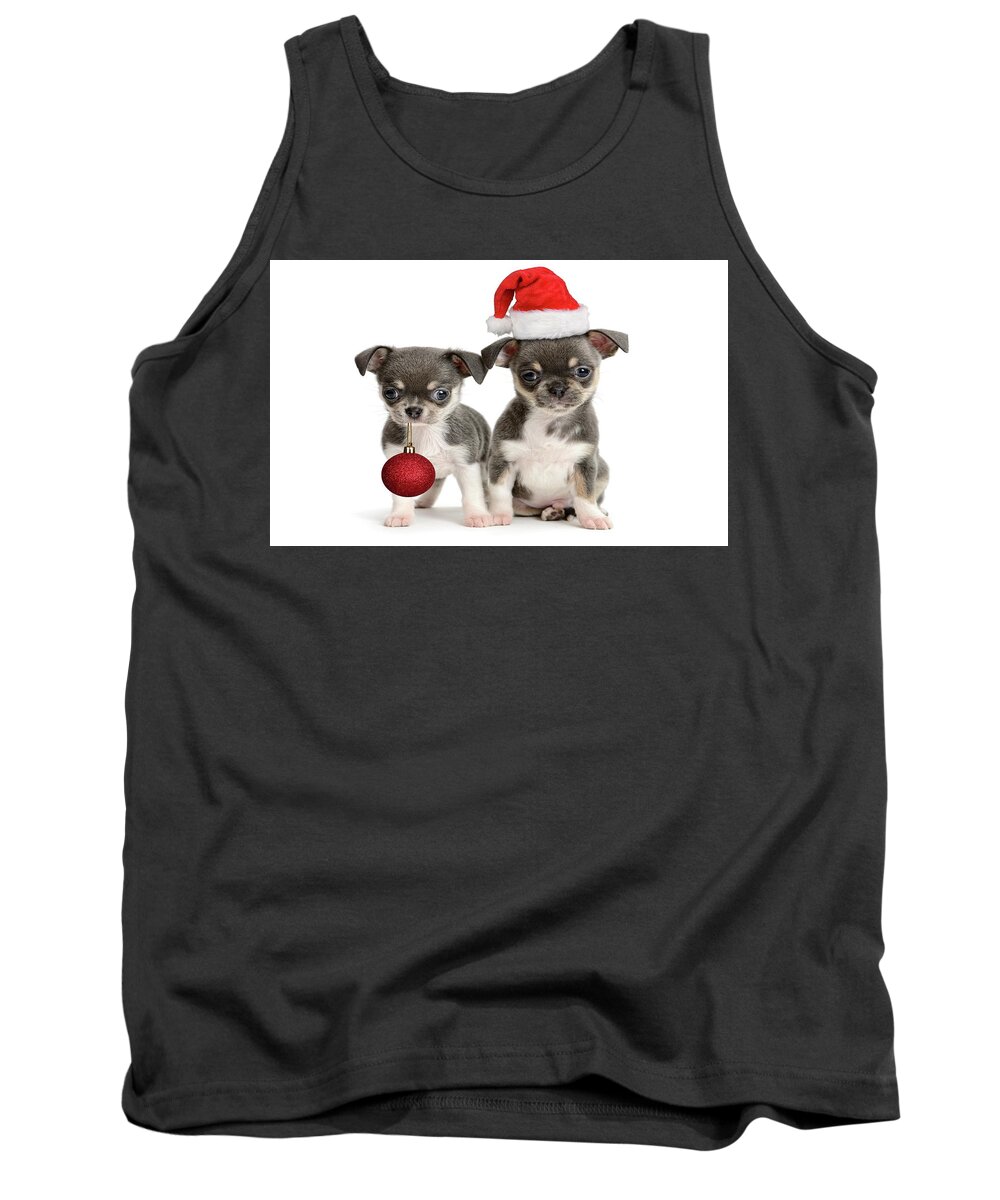 Puppy Tank Top featuring the photograph Puppy #3 by Mariel Mcmeeking