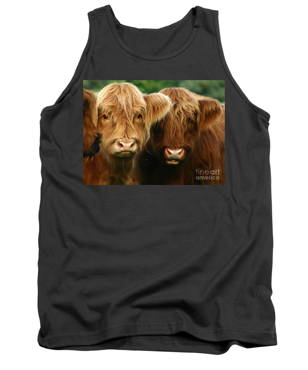 Cow Tank Top featuring the photograph Highland Cattle #4 by Ang El