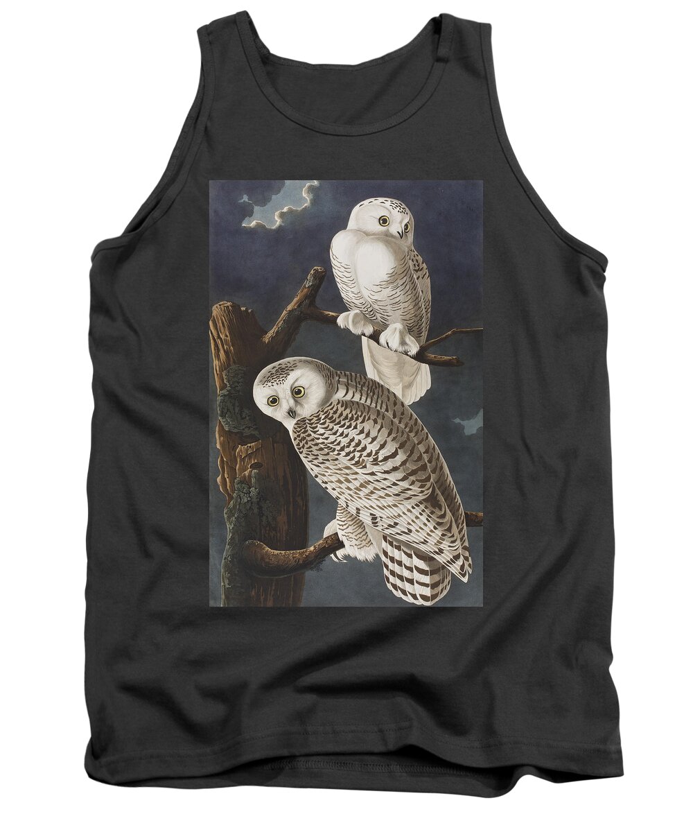 Owl Tank Top featuring the painting Snowy Owl by John James Audubon