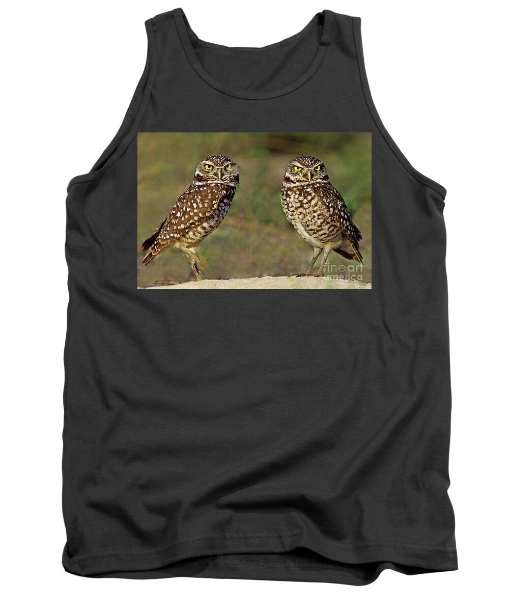 Dave Welling Tank Top featuring the photograph 563977016 Burrowing Owls Athene Cunicularia Wild Florida by Dave Welling