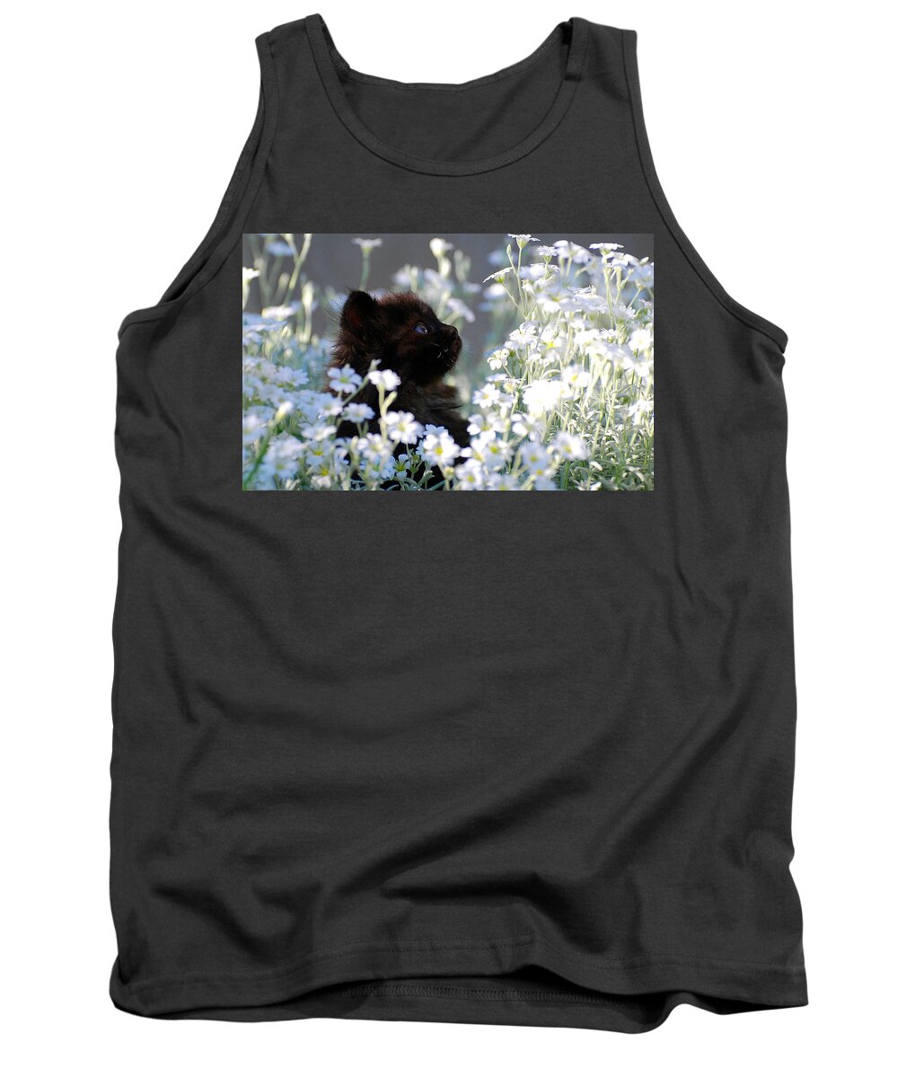 Cat Tank Top featuring the photograph Cat #570 by Jackie Russo