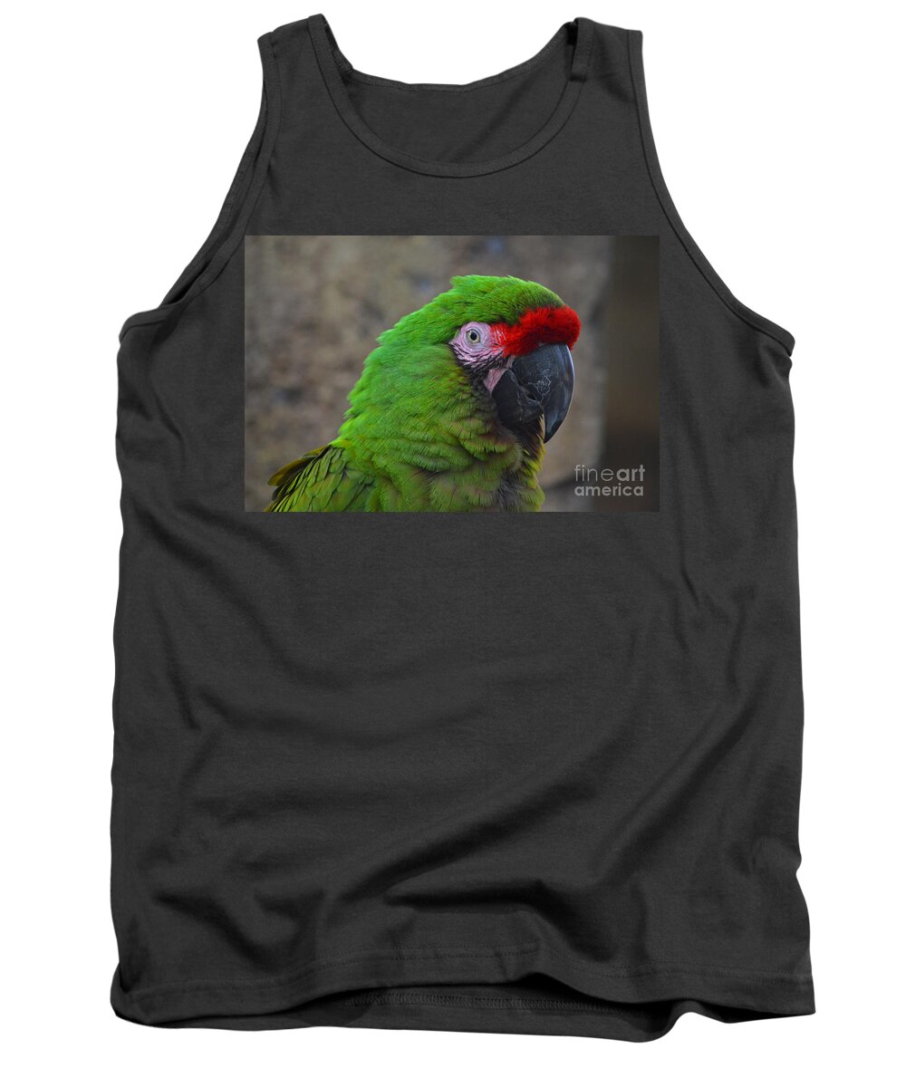 Military Macaw Tank Top featuring the photograph 72- Military Macaw by Joseph Keane