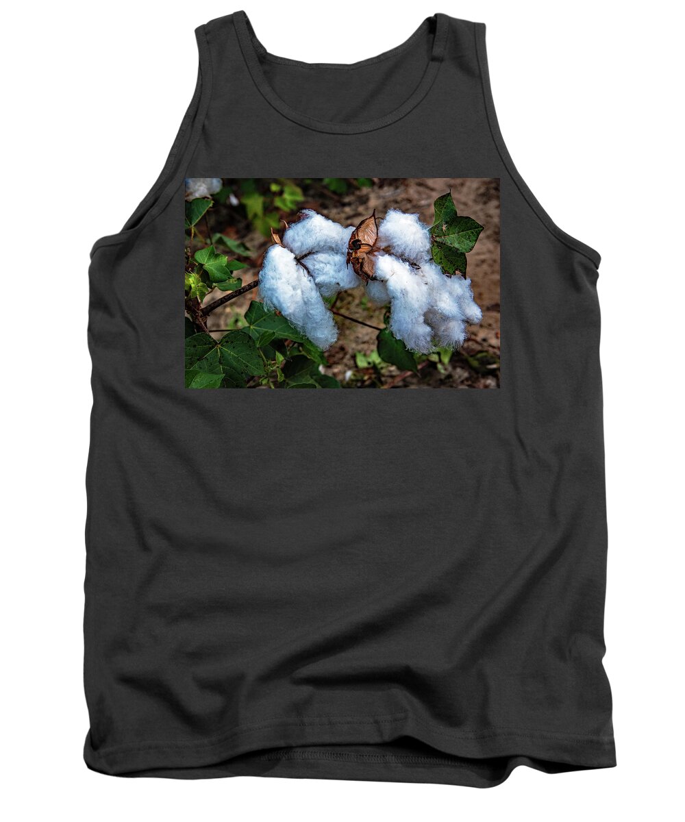 8 Bolls Of Cotton Prints Tank Top featuring the photograph 8 Bolls Of Cotton by John Harding