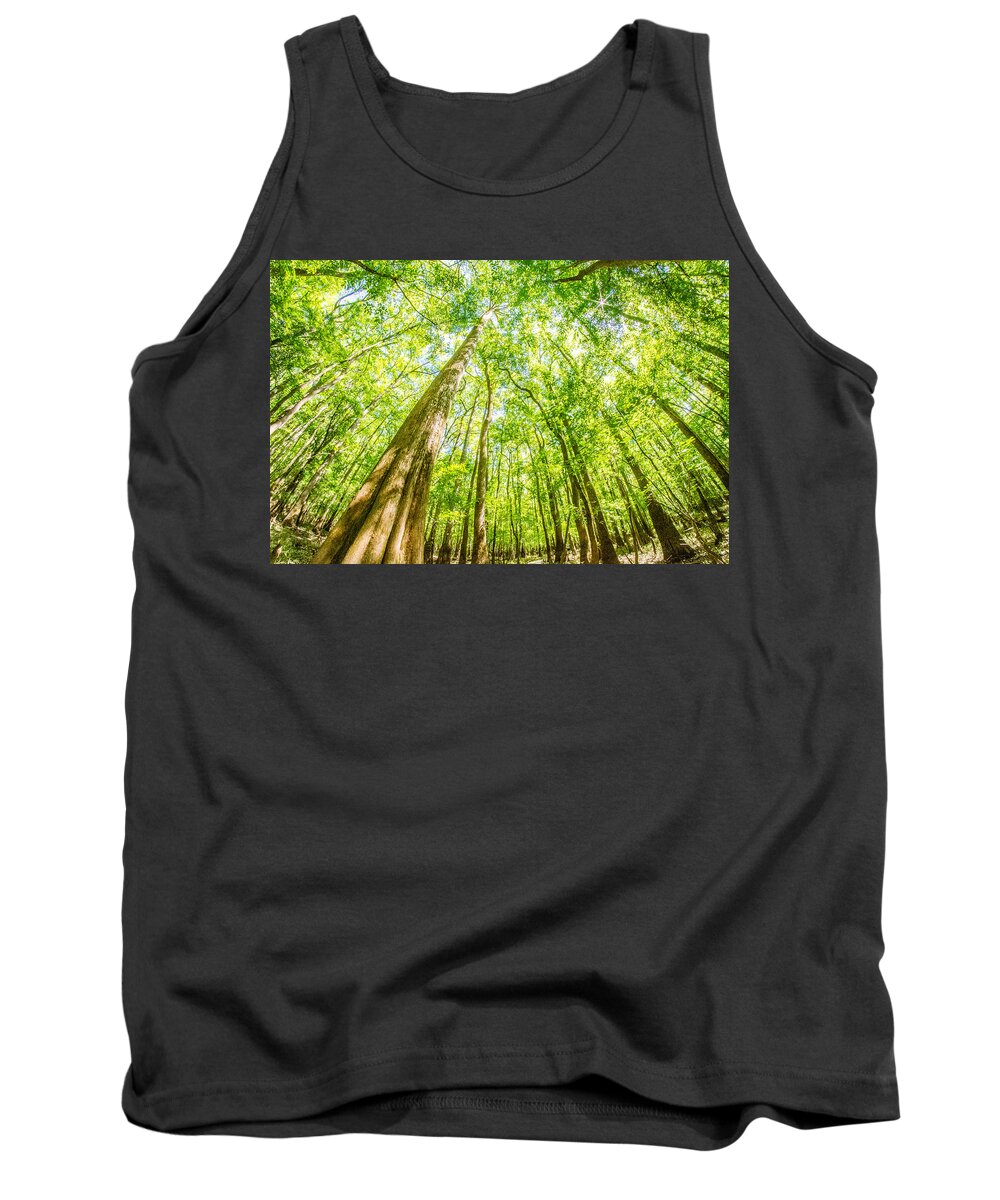 Carolina Tank Top featuring the photograph cypress forest and swamp of Congaree National Park in South Caro #9 by Alex Grichenko