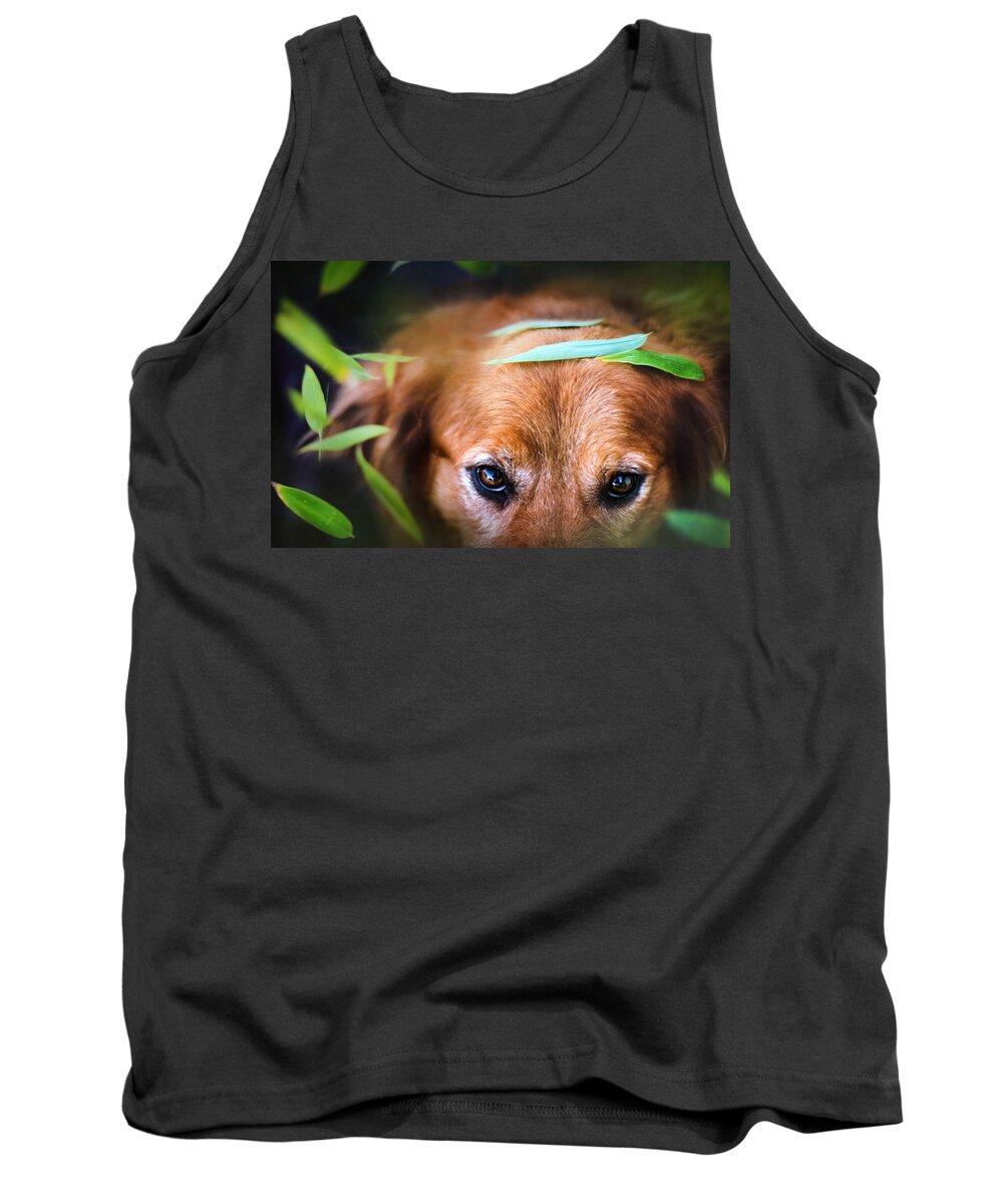 Dog Tank Top featuring the photograph Dog #9 by Mariel Mcmeeking