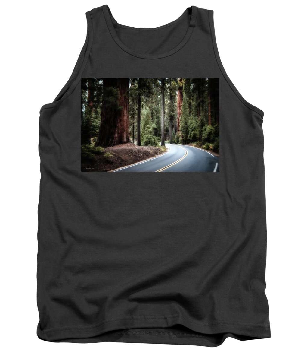 Sequoia Tank Top featuring the photograph A Bright Future Around the Bend by Andrea Platt