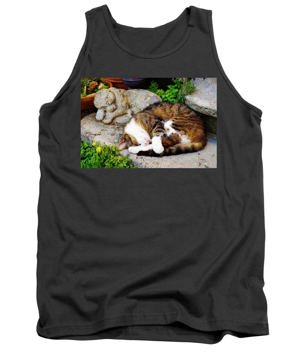 Cat Tank Top featuring the photograph A Cat Sleeping Next to... by Daisuke Takano