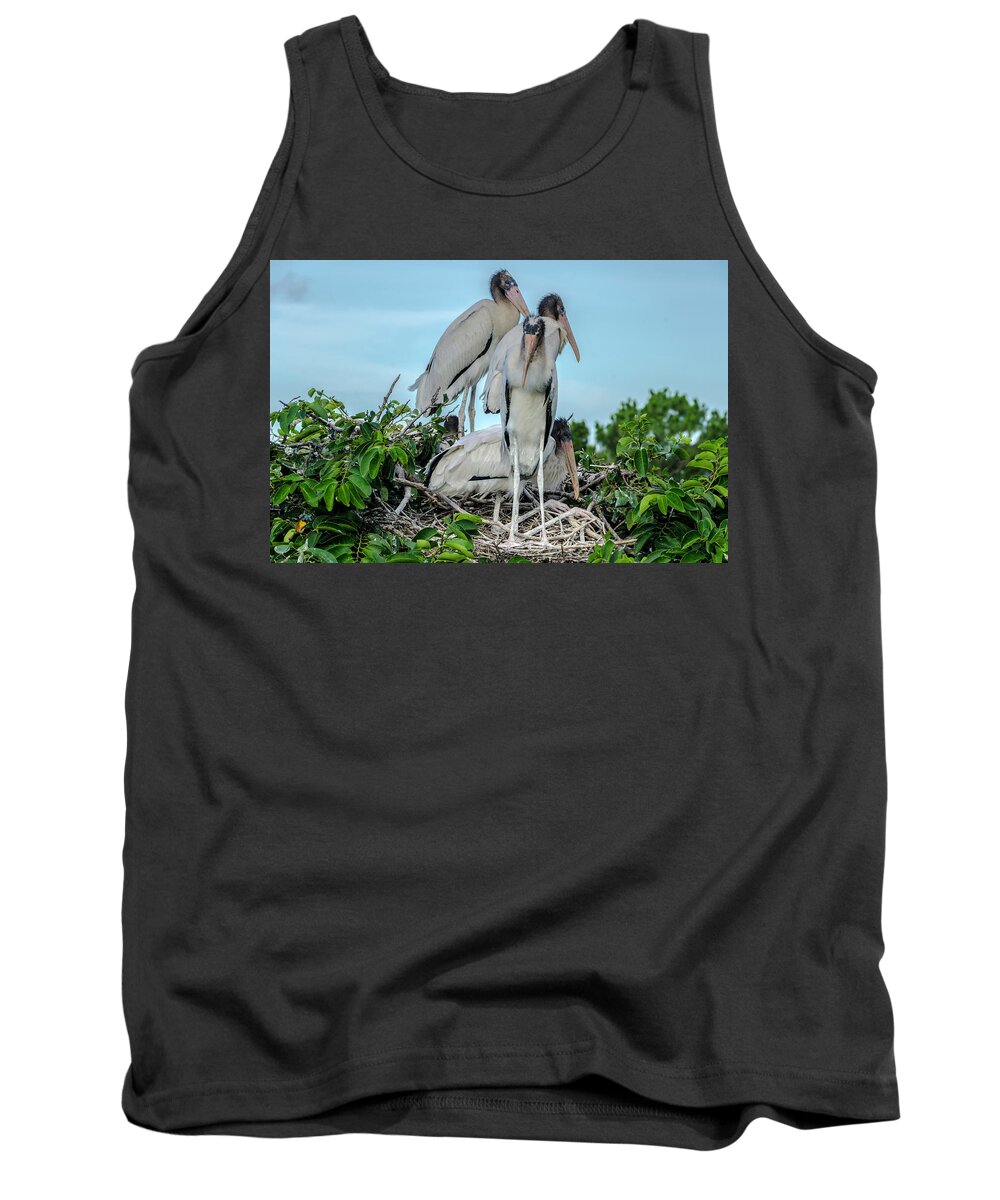 White Storks Tank Top featuring the photograph A full nest by Wolfgang Stocker