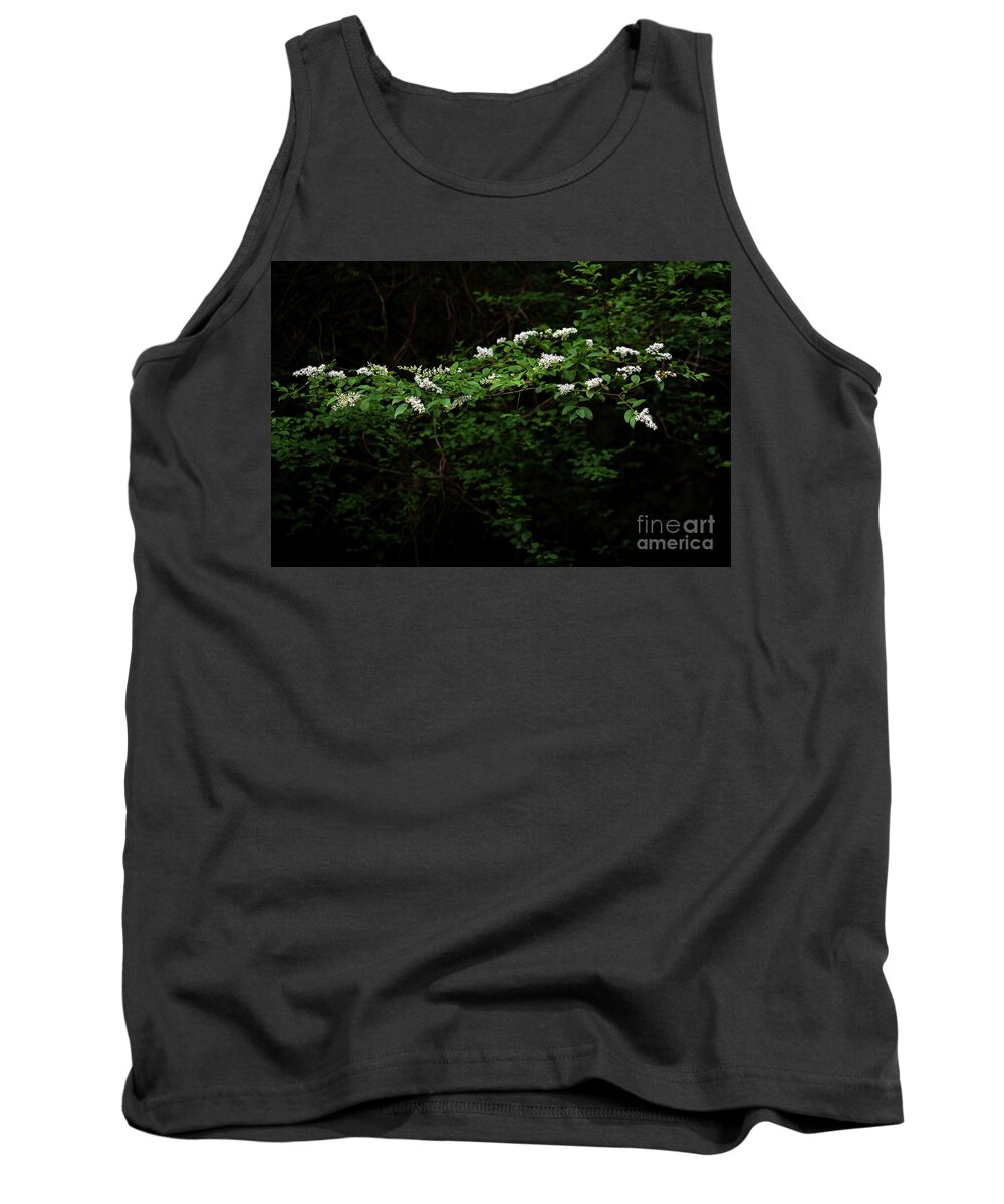 Nature Tank Top featuring the photograph A Light In The Darkness by Skip Willits