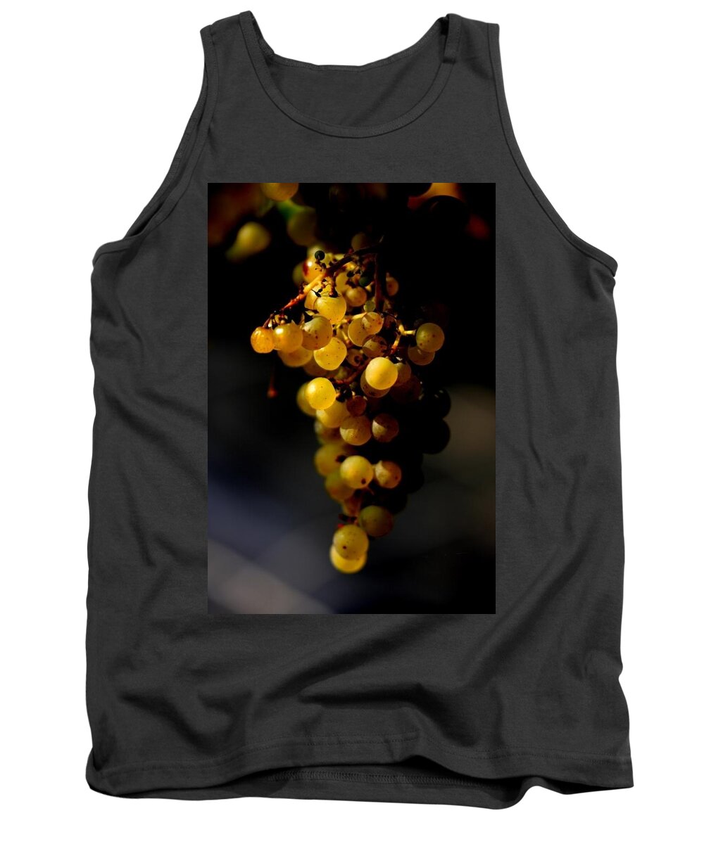 Grapes Lighting Food Wine Autumn Growth Life Icewine Tank Top featuring the photograph A luscious bunch of grapes by Ian Sanders