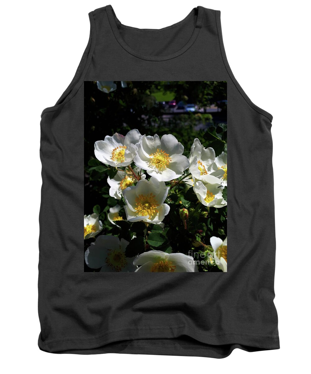 White Tank Top featuring the photograph A short life but a merry one by Brenda Kean