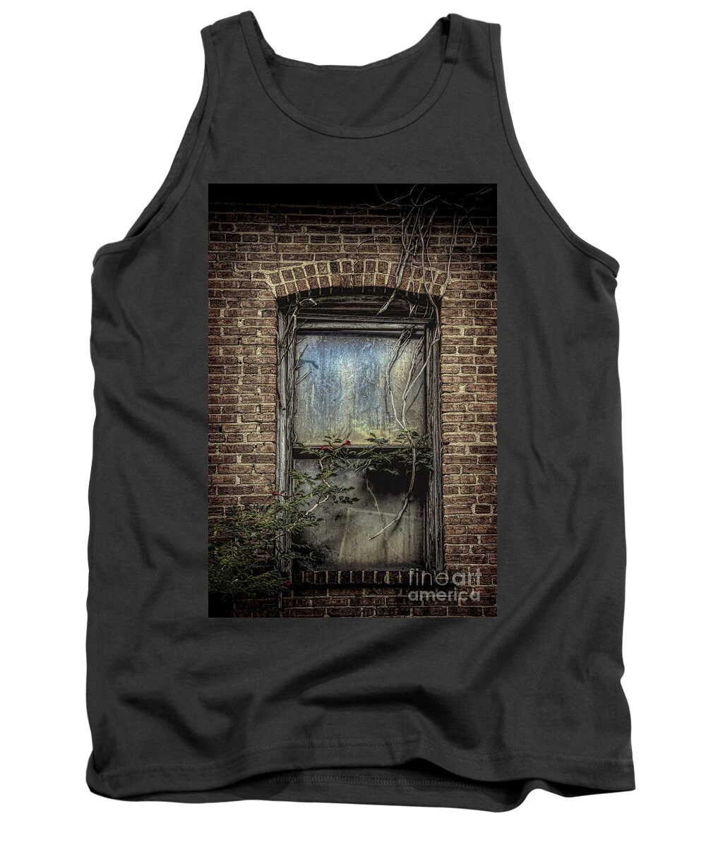 Window Tank Top featuring the photograph A Sign of Life by Ken Johnson