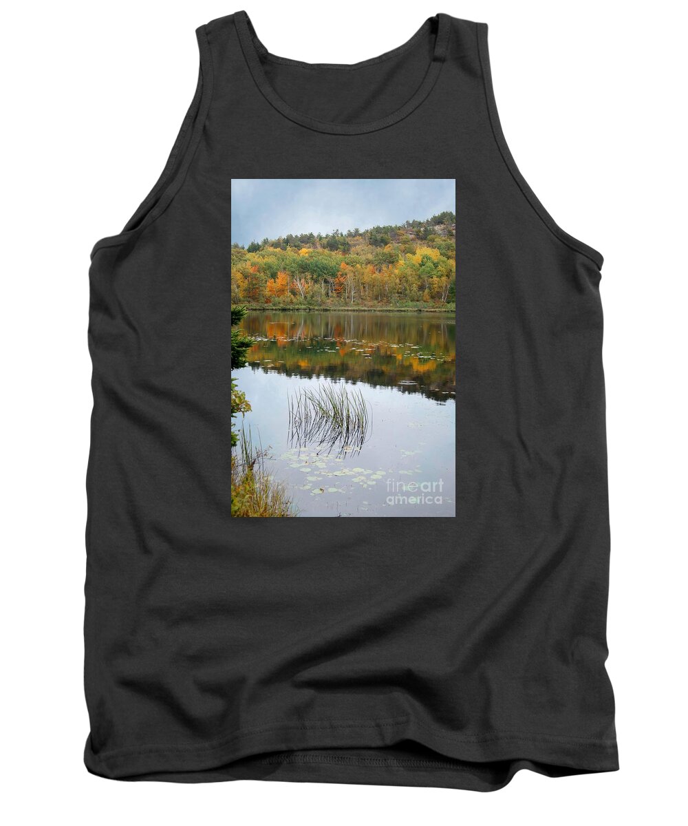 Acadia National Park Tank Top featuring the photograph Acadia Autumn by David Birchall
