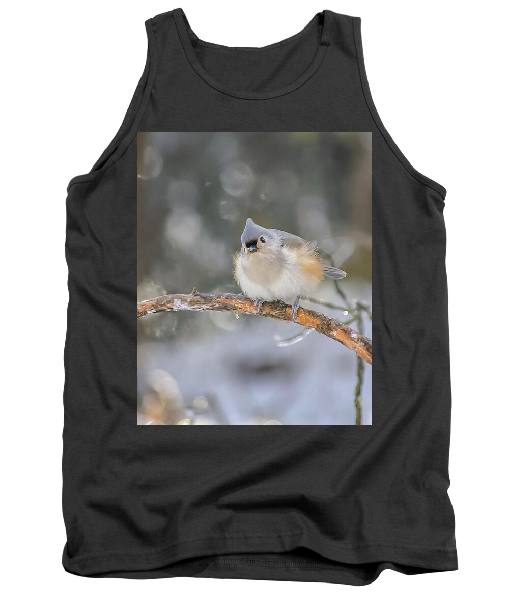 Ice Tank Top featuring the photograph After the Ice Storm by Holly Ross