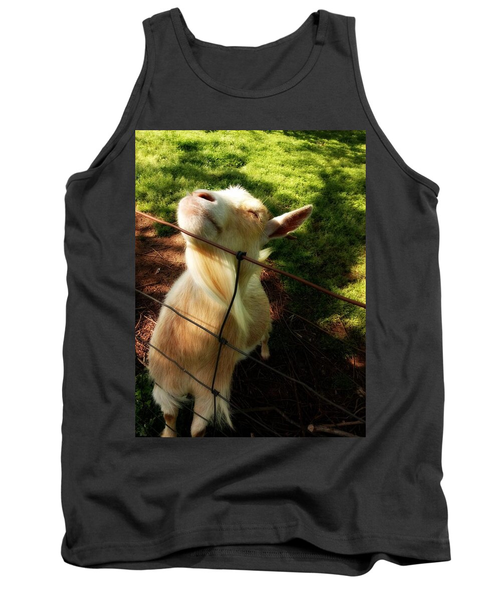 Goat Tank Top featuring the photograph Ah Finally Spring Goat by Kathy Barney