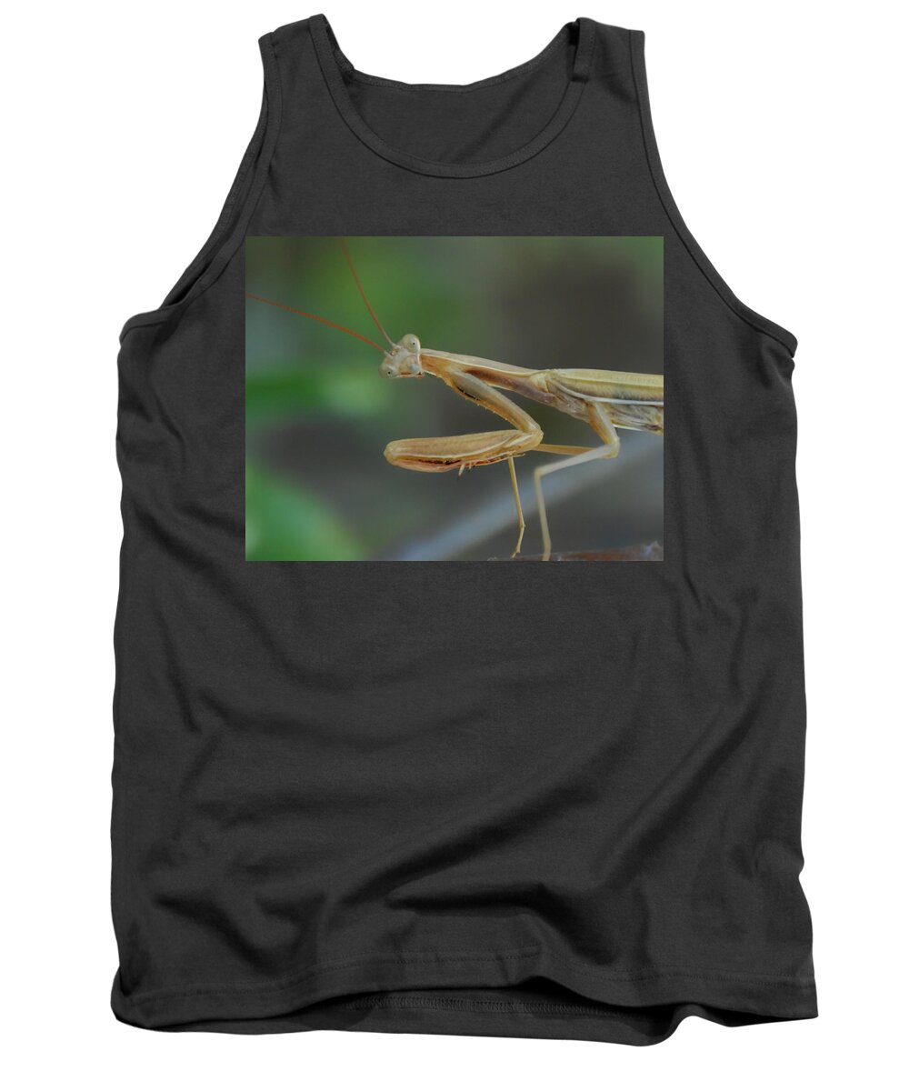 Praying Mantis Tank Top featuring the photograph Aliens Among Us by Donna Blackhall