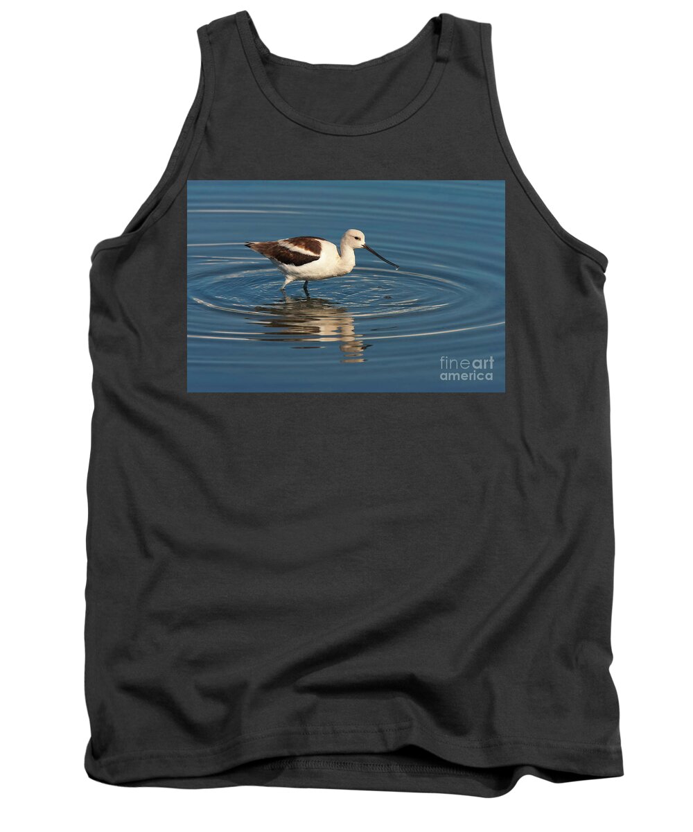 American White Pelican Tank Top featuring the photograph American Avocet by Ram Vasudev
