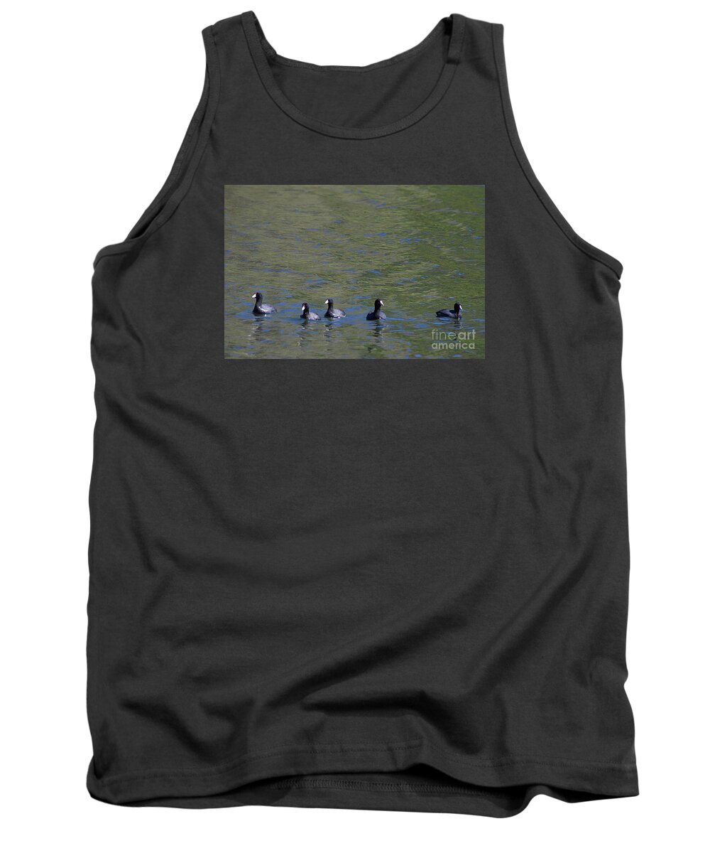 American Coots Tank Top featuring the photograph American Coots 20120405_280a by Tina Hopkins