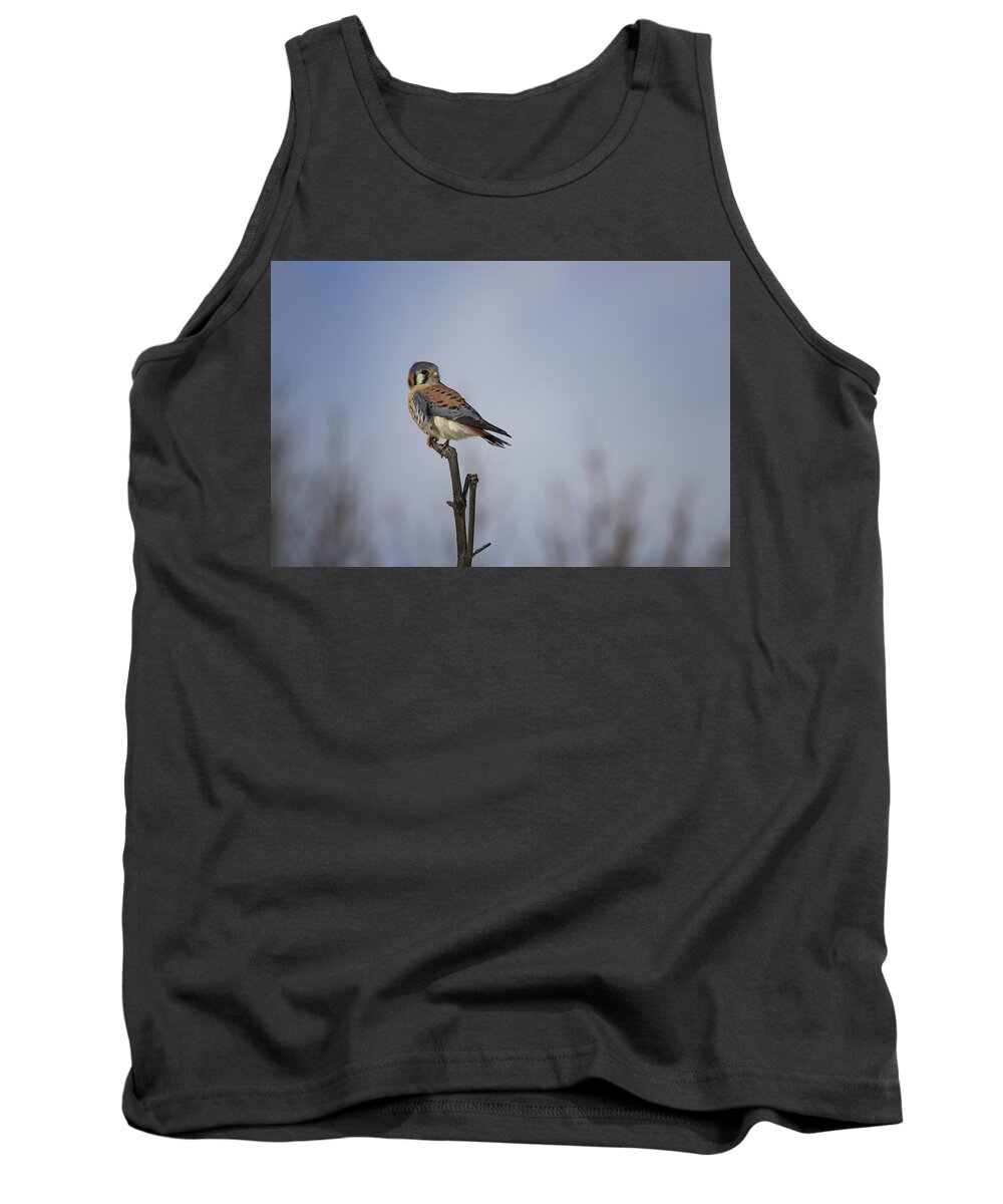 Gary Hall Tank Top featuring the photograph American Kestrel by Gary Hall