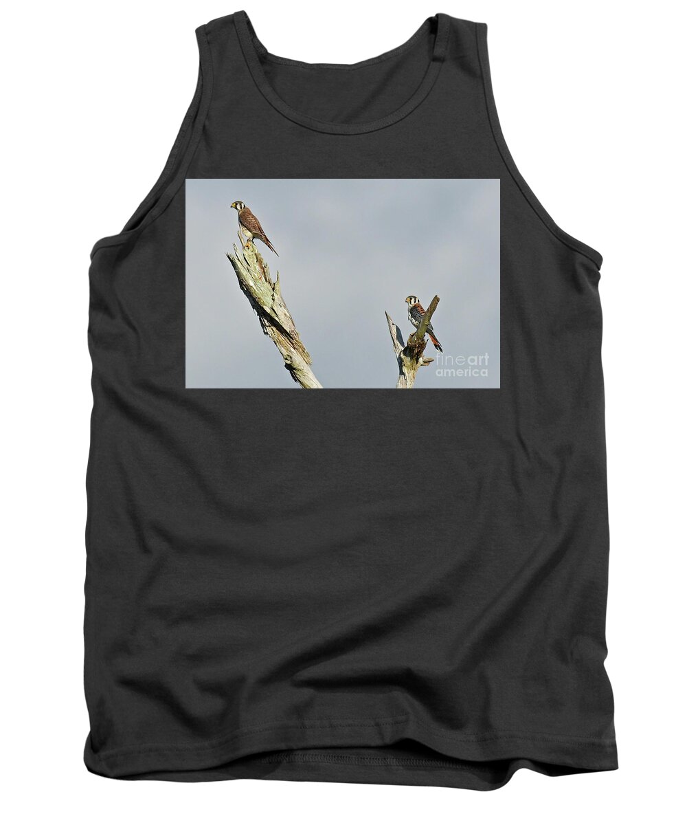  Tank Top featuring the photograph American Kestrel by Liz Grindstaff