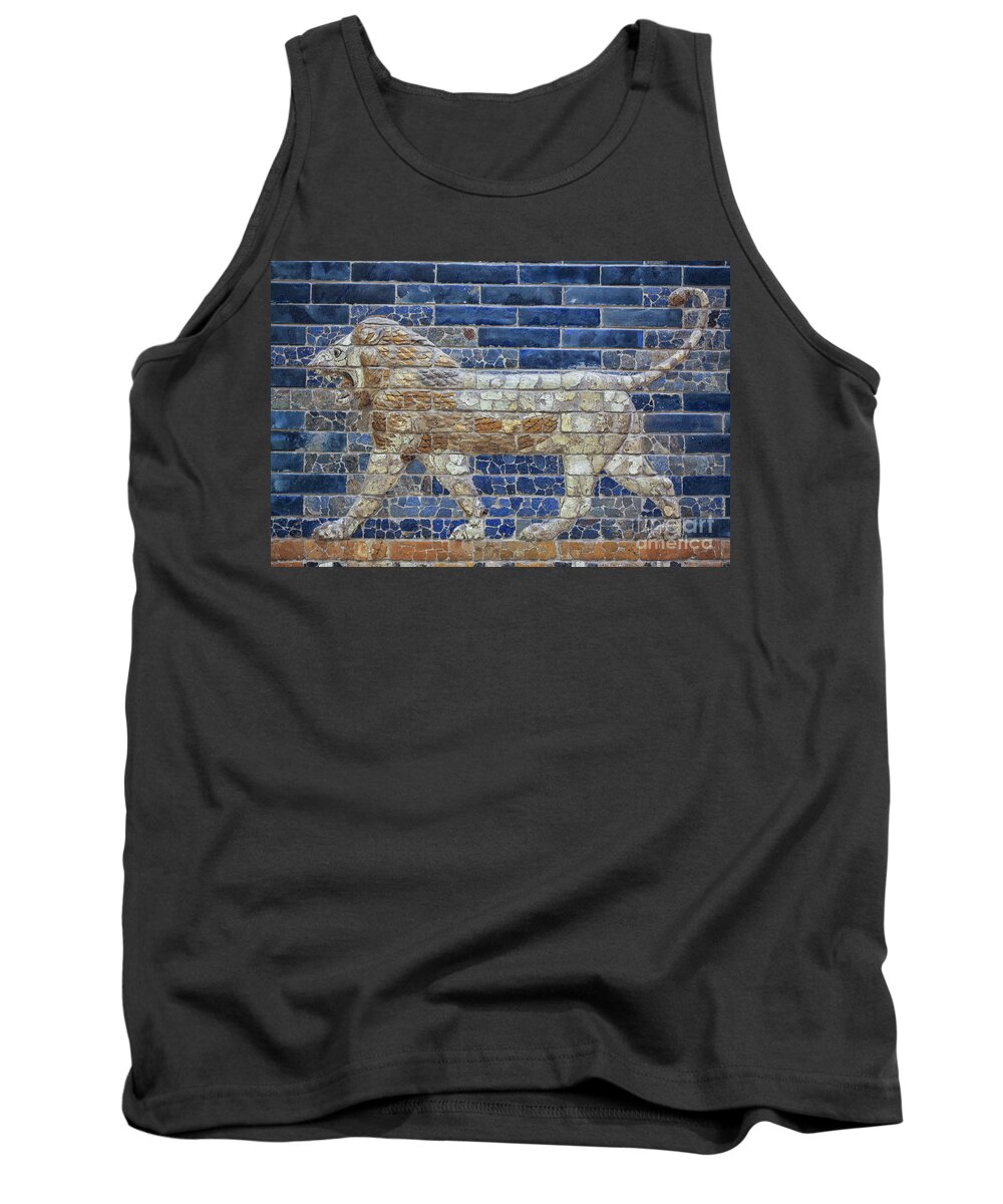 Babylon Tank Top featuring the photograph Ancient Babylon lion by Patricia Hofmeester