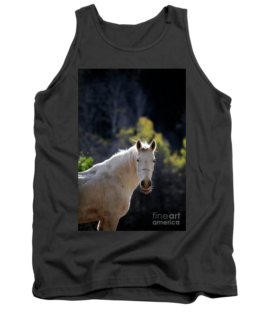 Rosemary Farm Tank Top featuring the photograph Annie #2 by Carien Schippers